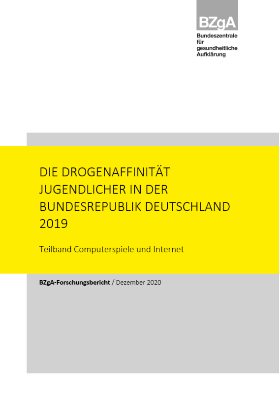 Vorschaubild zum PDF